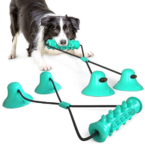 Justgreenbox Chien Molar Bite Chew Toy Corde Pull Interactive avec Ventouse pour Tirer le Nettoyage des Dents à Mâcher, Bleu