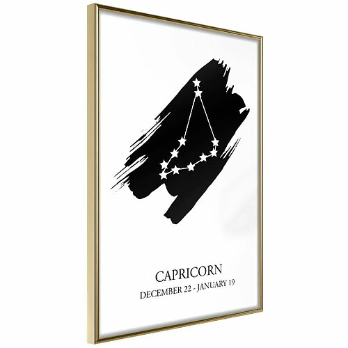 Paris Prix Affiche Murale Encadrée Zodiac Capricorn I 20 x 30 cm Or