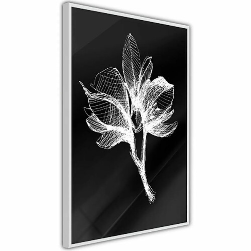 Paris Prix Affiche Murale Encadrée White Plant 40 x 60 cm Blanc