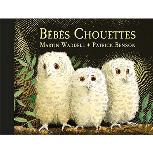 Bébés chouettes