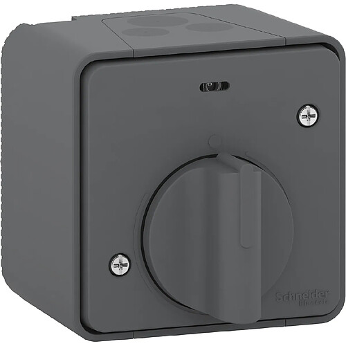 interrupteur temporisé - gris - saillie - mureva styl - schneider electric mur35067