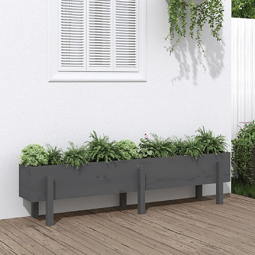 vidaXL Lit surélevé de jardin gris 160x30x38 cm bois de pin massif