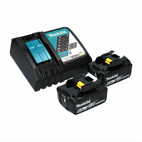 Makita DFS 251 RGJ Visseuse pour cloisons sèches sans fil Brushless 18V + 2x Batteries 6,0Ah + Chargeur + Coffret Makpac