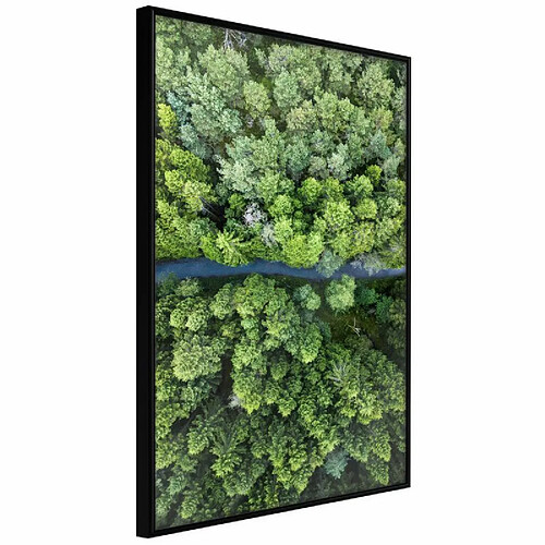 Paris Prix Affiche Murale Encadrée Forest from a Bird's Eye View 40 x 60 cm Noir