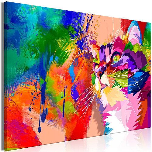 Artgeist Tableau - Colourful Cat (1 Part) Wide [60x40]