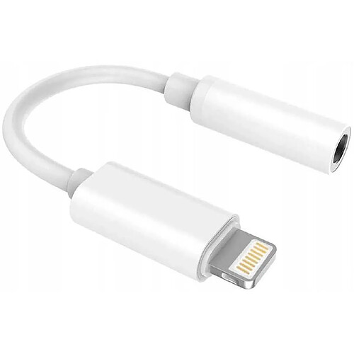 GUPBOO Câble Adaptateur iPhone Lightning vers AUX JACK 3.5mm,JL142