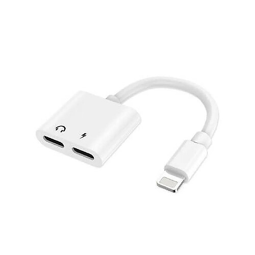 2 en 1 Adaptateur de Lightning,Double Lightning Casque Chargeur Convertisseur pour iPhone 14 - Visiodirect -