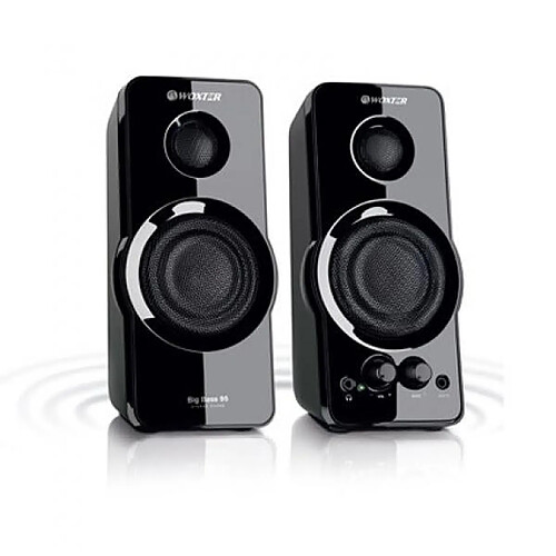 ALTAVOZ WOXTER BIG BASS 95