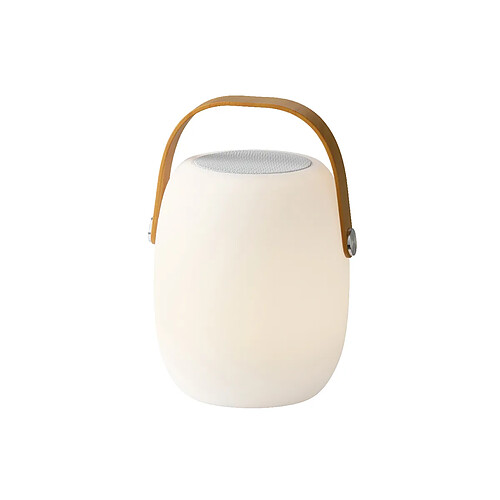 JARDIéco Enceinte d'extérieur lumineuse LED portative connectivité Bluetooth - Jardideco