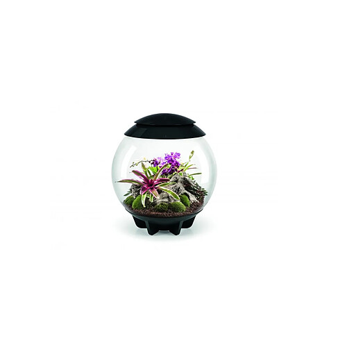 Terrarium décoratif 60l avec cadre noir - Air 60 black - OASE