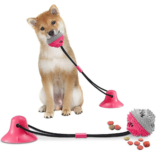 Jouets pour chien Jouets pour animaux de compagnie avec ventouses Jouets de dentition interactifs Jouets de dentition pour animaux de compagnie Jouets de dentition multifonctionnels pour animaux de compagnie