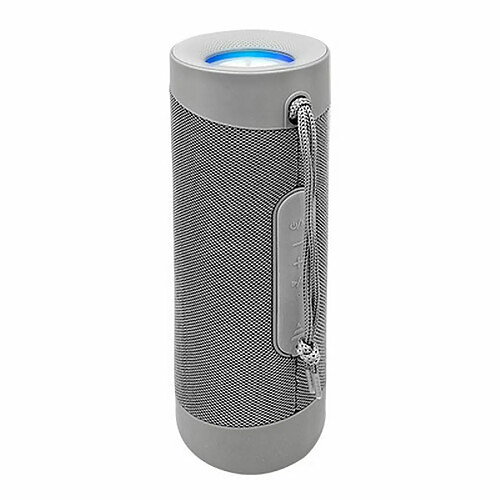 Haut-parleurs bluetooth portables Denver Electronics 111151020550 10W Gris Argenté