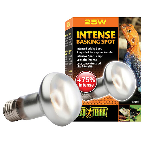 Exo Terra - Lampe Intense Basking Spot - 25W