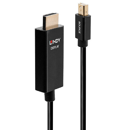 Lindy 40921 câble vidéo et adaptateur 1 m Mini DisplayPort HDMI Noir