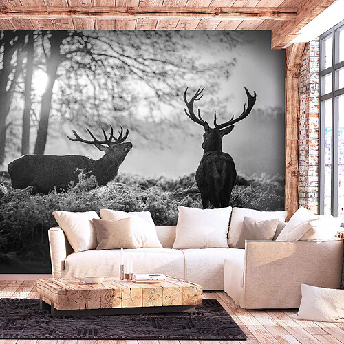 Artgeist Papier peint - Deers in the Morning [450x315]