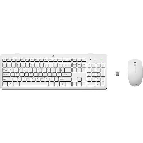 HP 230 Wireless Mouse and Combo keyboard