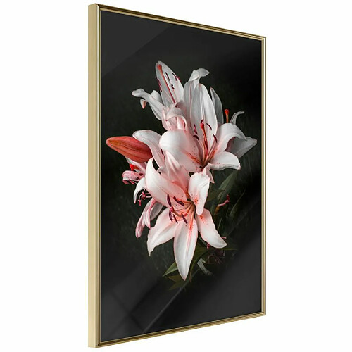 Paris Prix Affiche Murale Encadrée Pale Pink Lilies 40 x 60 cm Or