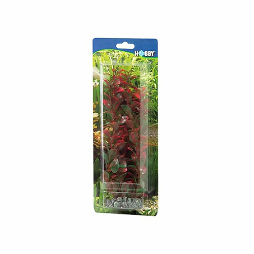 Hobby Ludwigia Plante d'Aquarium Artificielle 34 cm