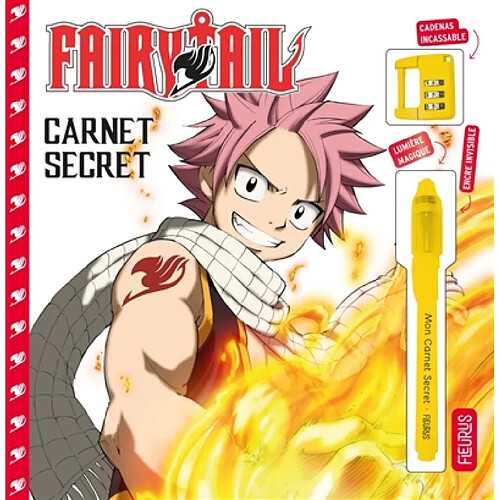 Fairy Tail : carnet secret