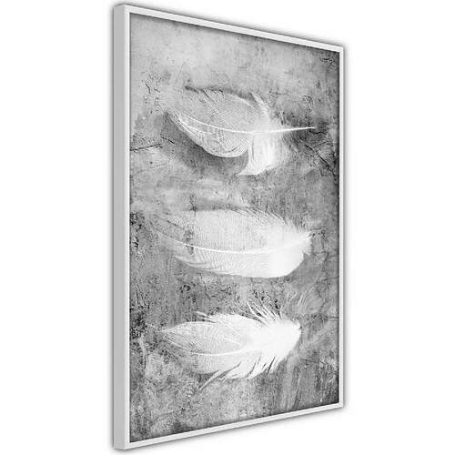 Paris Prix Affiche Murale Encadrée Delicate Feathers 40 x 60 cm Blanc