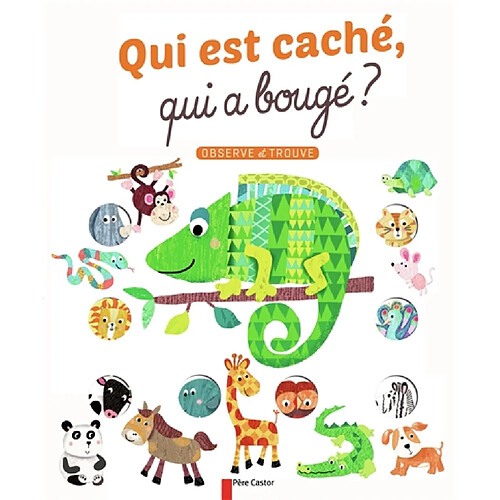 Qui est caché, qui a bougé ? : observe et trouve · Occasion