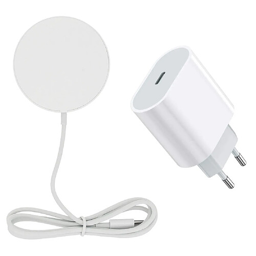 Pack Adaptateur Secteur 20W + Chargeur rapide a induction 15W pour Samsung Galaxy S23 /S22 / S21 / A53 Little Boutik®