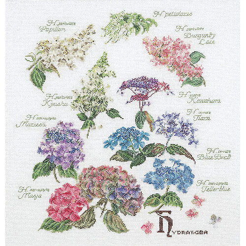 Thea Gouverneur - Kit Broderie Point de Croix (Points comptés) - 3067 - Fils DMC Pré-trié - Panneau d'hortensia - Lin - 44cm x 46cm - Kit de Bricolage