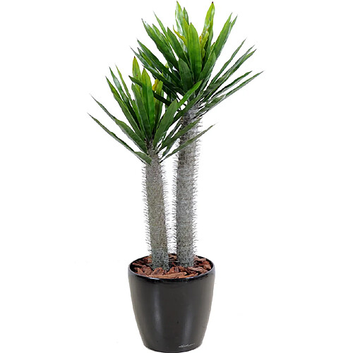 Pegane Plante artificielle haute gamme Spécial extérieur / Pachypodium artificiel - Dim : 100 x 50 cm