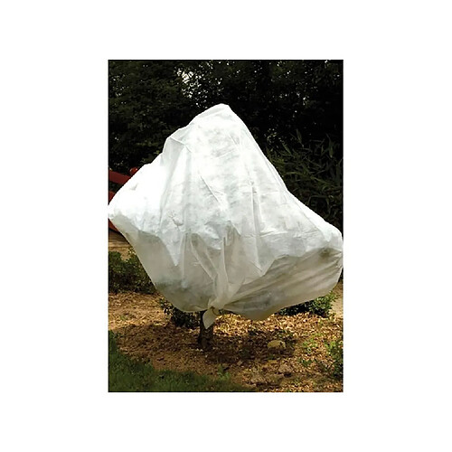 VILMORIN Voile d'hivernage 30g/m² - 2 x 5m - Blanc