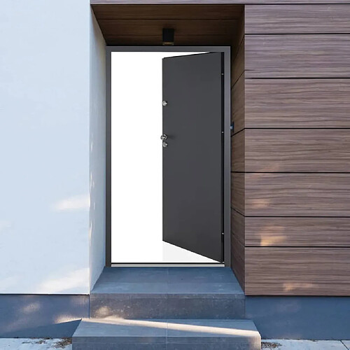 vidaXL Porte d'entrée anthracite 100x200 cm aluminium