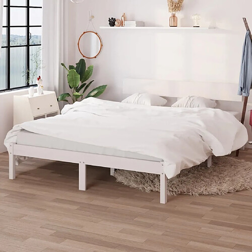 vidaXL Cadre de lit sans matelas blanc bois de pin massif