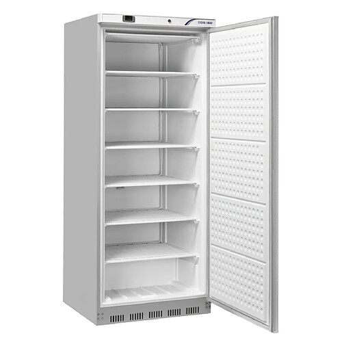 COOLHEAD Armoire Réfrigérée Négative 600 L - Inox - Cool Head