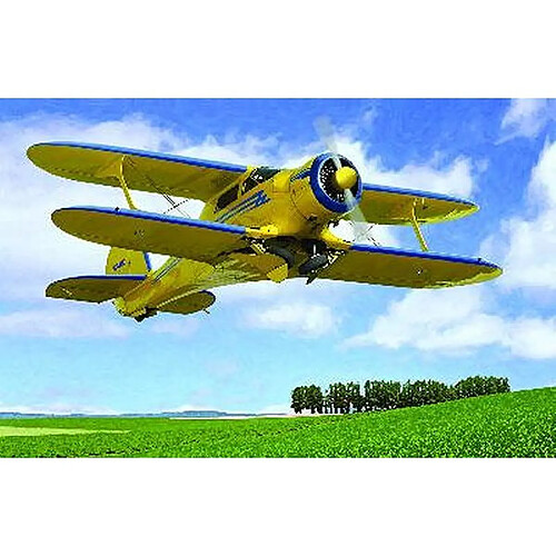 Roden Maquette avion : Beechcraft D17S