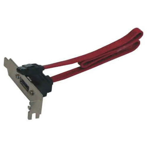 Câble SATA/eSATA Fujitsu T26139-Y3983-V1 A3C40087680 A3C40087681 Low Profile · Occasion