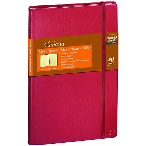 Quo Vadis Habana Carnet de note emboité 10x15 cm 224 pages petits carreaux Couverture Rouge