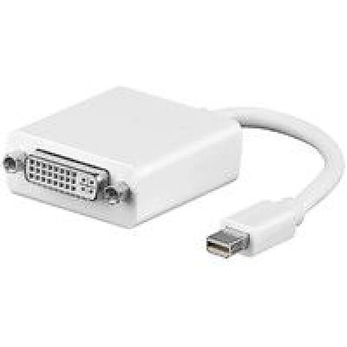 Disney Microconnect Mini Displayport - DVI 15cm