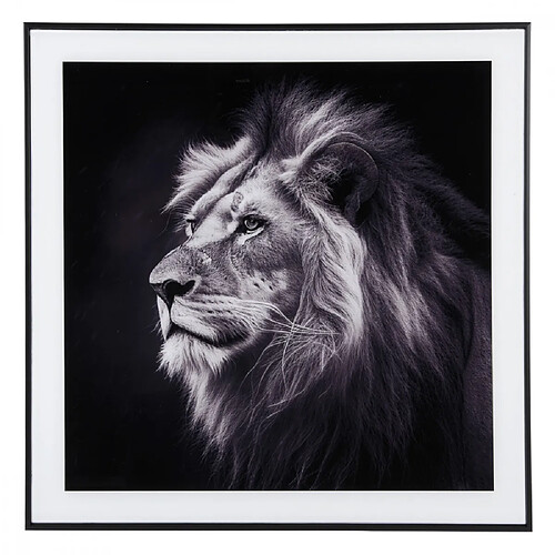 Present Time Cadre et photo d'art noir et blanc Lion