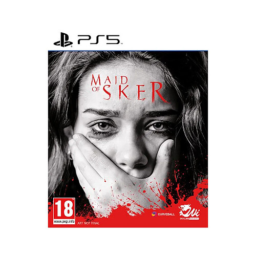 Microids Maid of Sker PS5