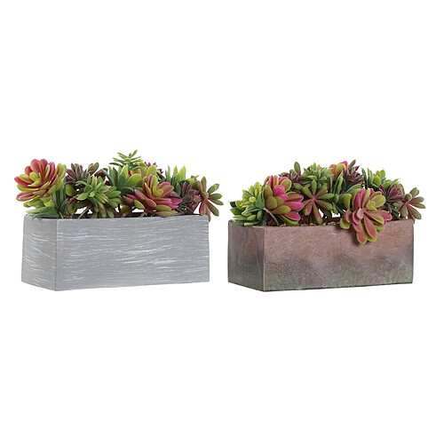 Plante décorative DKD Home Decor Gris Marron Multicouleur EVA PE (23,5 x 11 x 14,5 cm) (2 Unités)