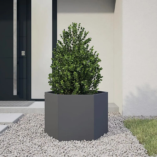 vidaXL Jardinière anthracite hexagone 69x60x45 cm acier