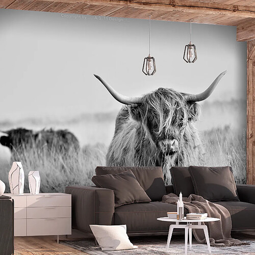 Artgeist Papier peint - Highland Cattle [250x175]