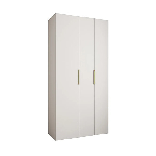 Abiks Meble Armoire à portes battantes Como 4 245,5/120/50 3 portes (blanc/doré)