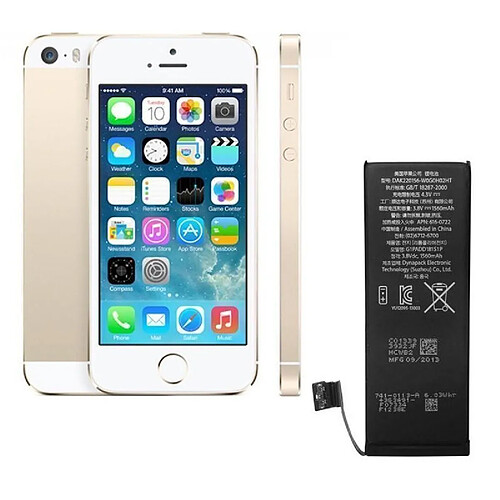 Apple Batterie Pour iPhone 5S