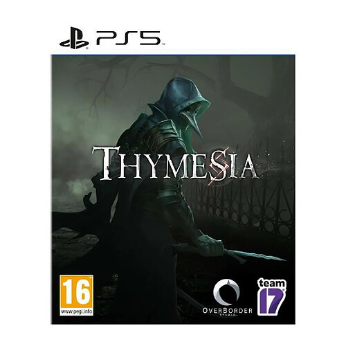 Team 17 Thymesia