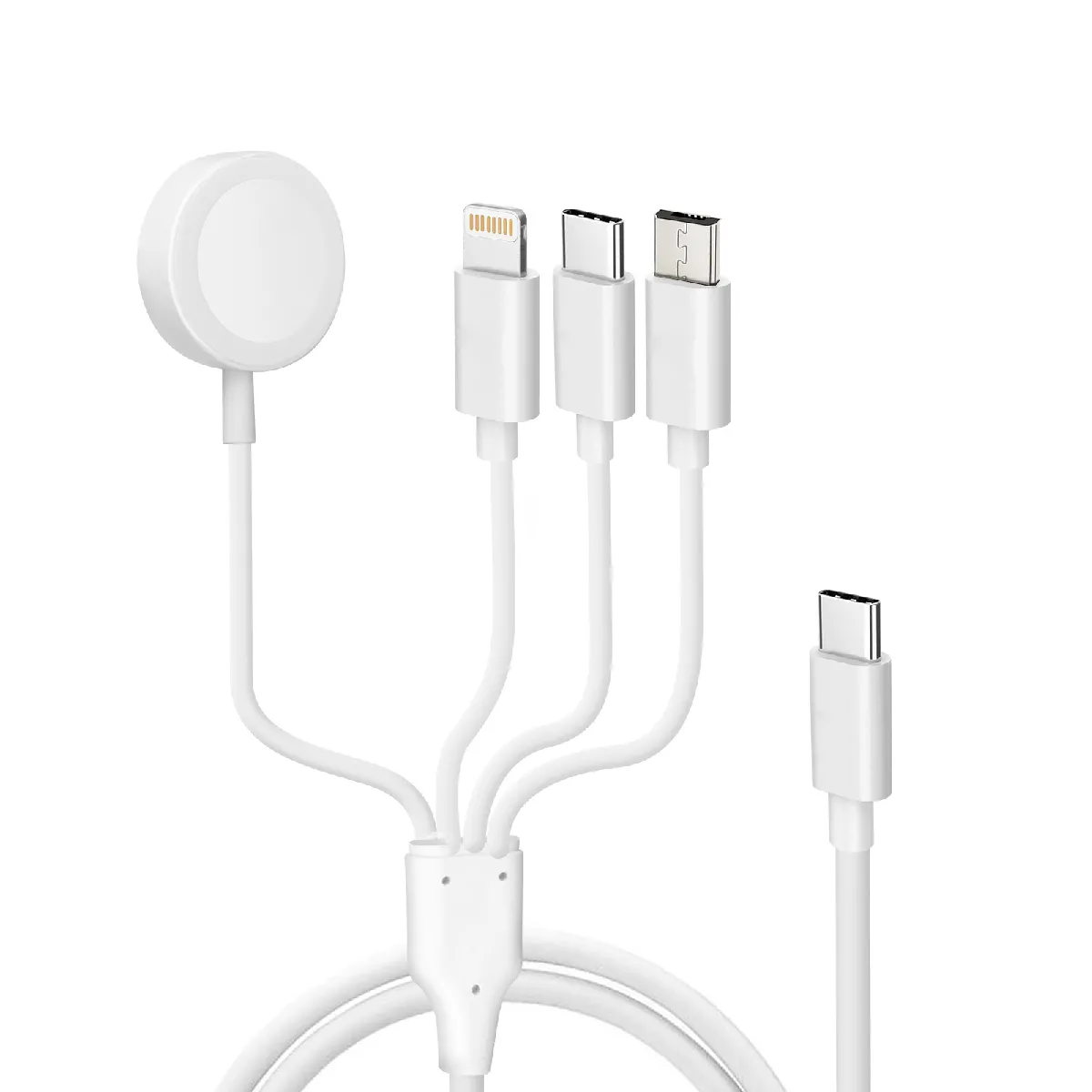 Avizar Câble USB-C vers Lightning, micro-USB, USB-C et Chargeur Magnétique 2A Blanc