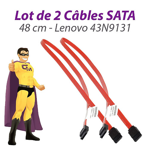 Lot x2 Câbles SATA 43N9131 Lenovo Think Center A25 M58 7359 48cm Rouge · Occasion