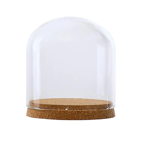 verre clair cloche dome couverture paysage terrarium conteneur avec socle en bois s