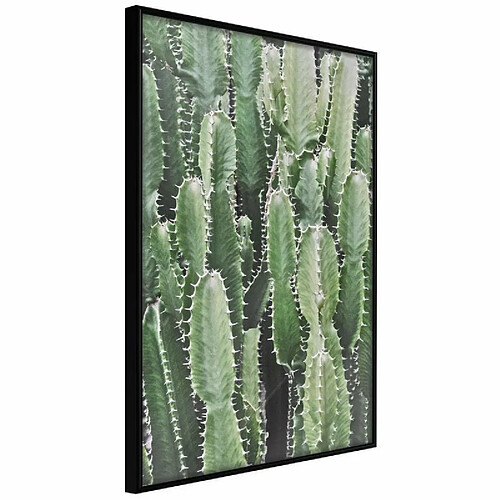 Paris Prix Affiche Murale Encadrée Cactus Plantation 20 x 30 cm Noir