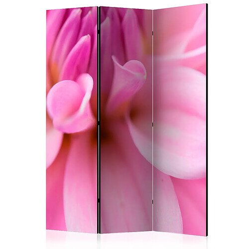 Artgeist Paravent - Flower petals - dahlia [Room Dividers] [135x172]