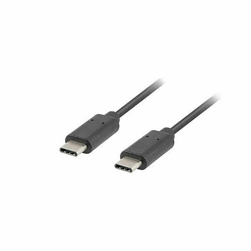 Câble USB C Lanberg 480 Mb/s Noir - 1 m